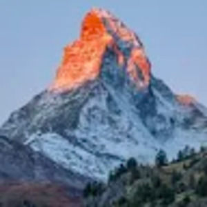 Meet your Posher, Savannah